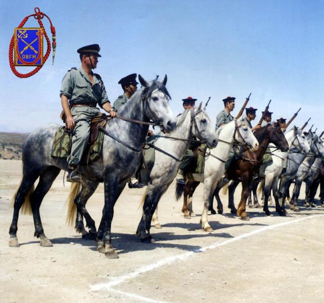 Des hommes de la DBFM, prêts pour une patrouille